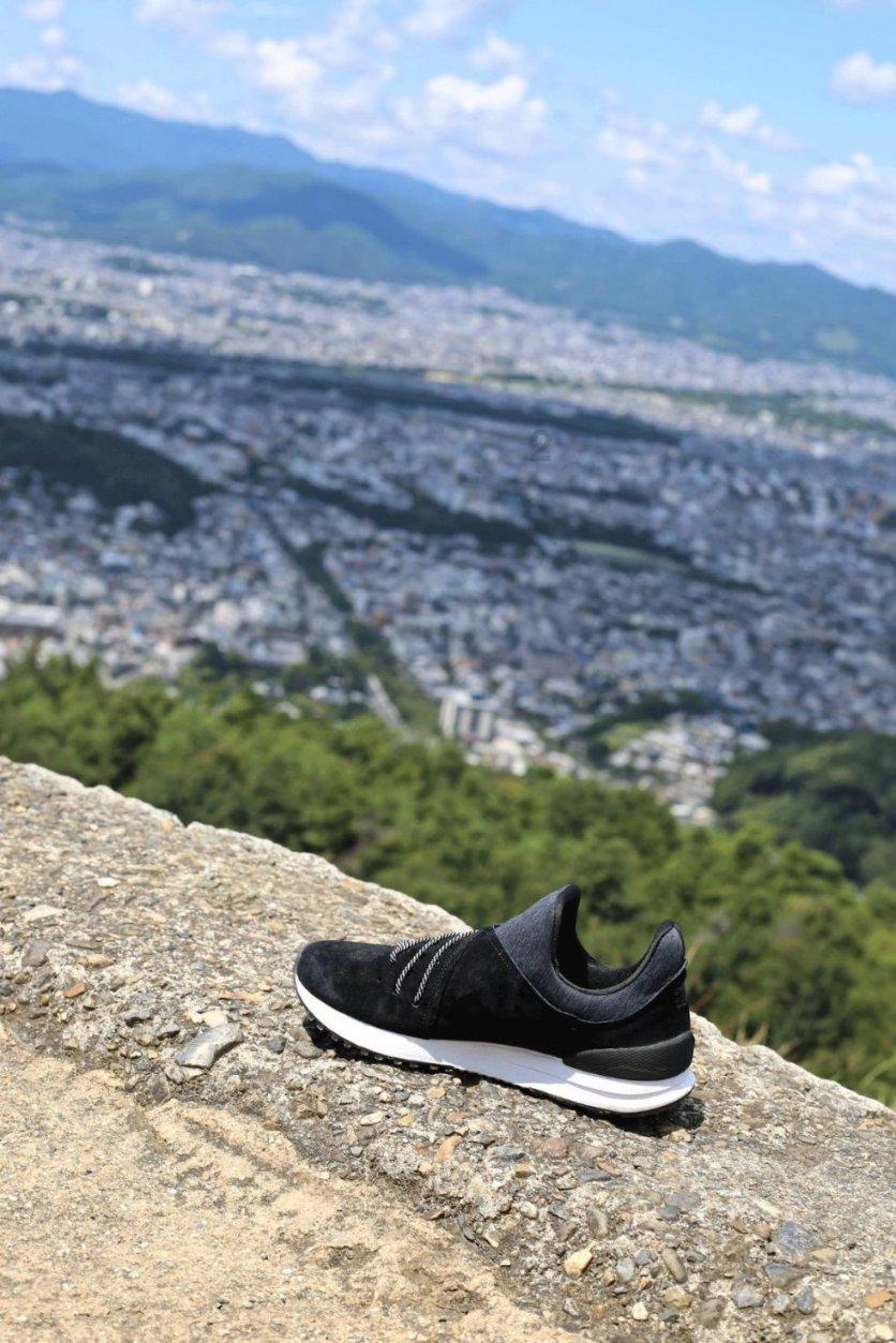 动物帮帮忙保卫家园