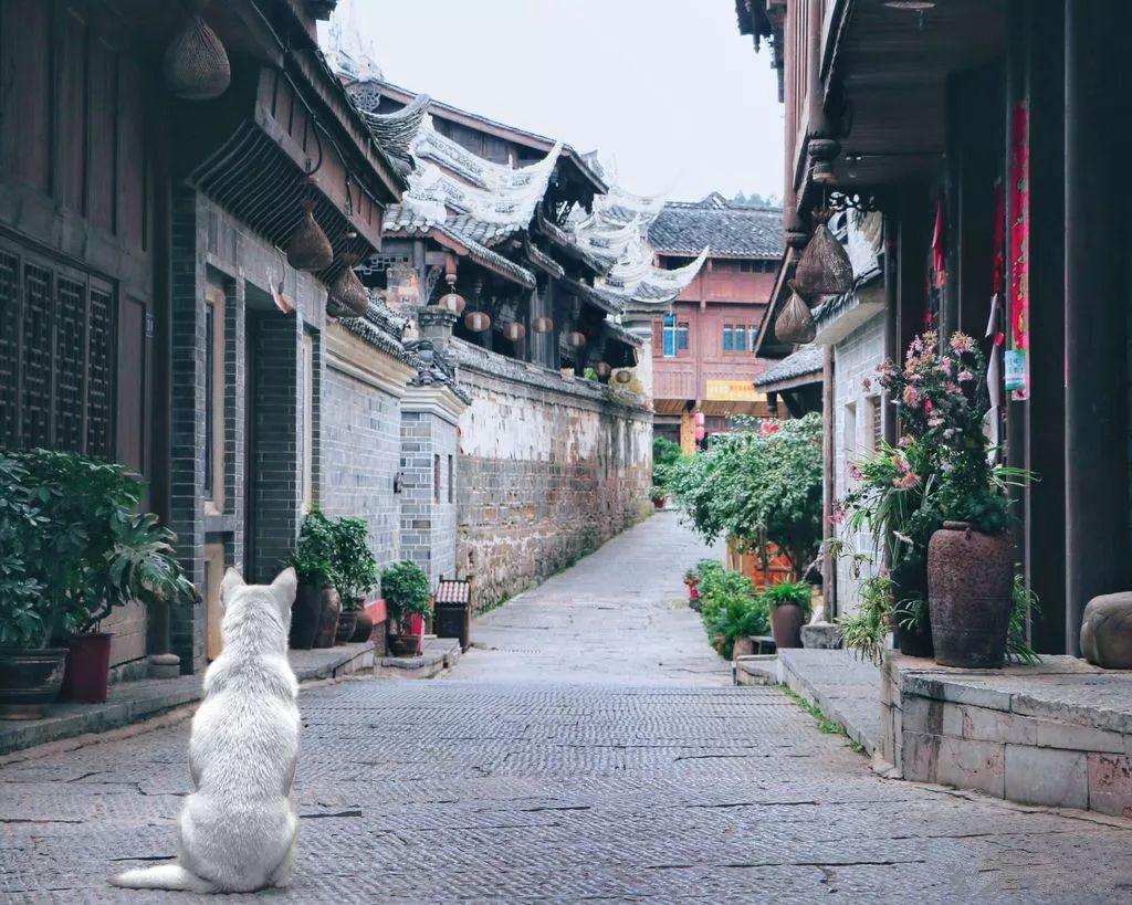 无人深空