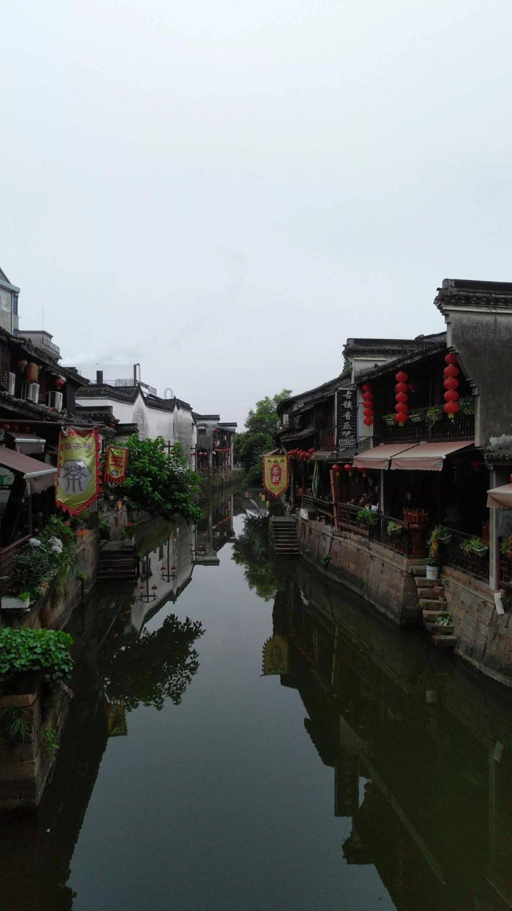 救援蓝色小鱼