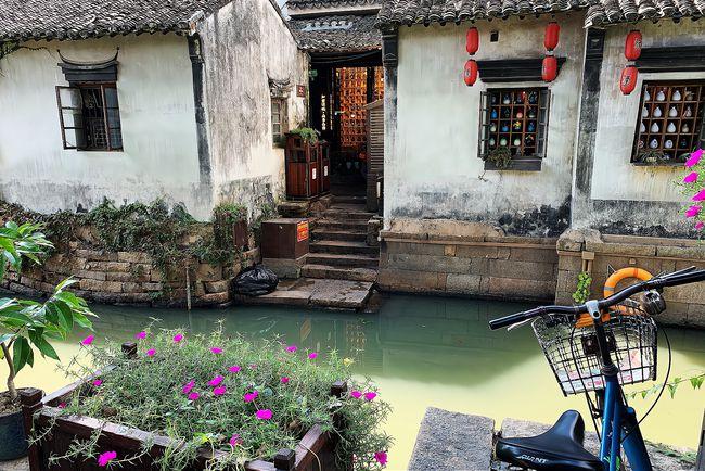 虫虫助手下载